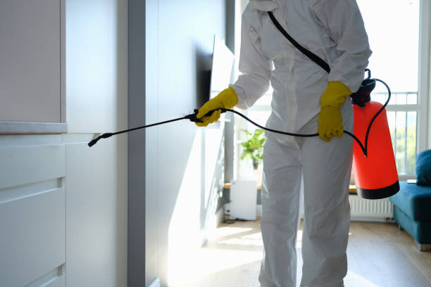 Mold Documentation for Insurance Claims in Tonkawa, OK
