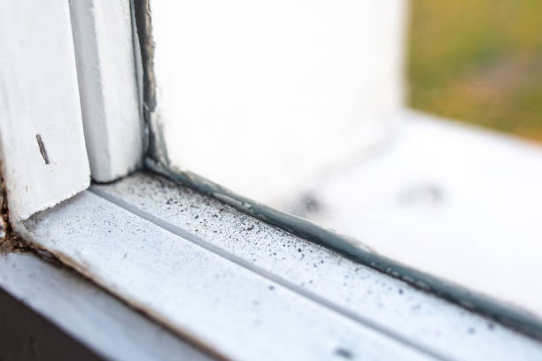 Forensic Mold Investigation in Tonkawa, OK